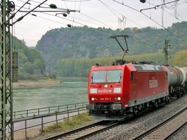 185  am Rhein beim Kammereck