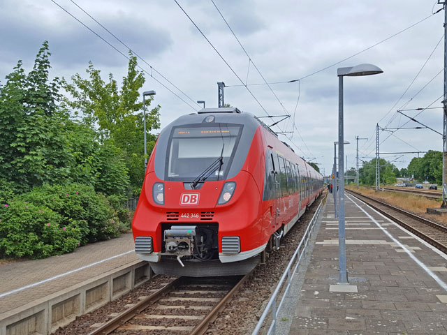 442  im Bhf Ribnitz-Damgarten West