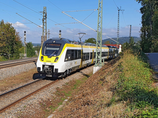 442 nördlich von Denzlingen