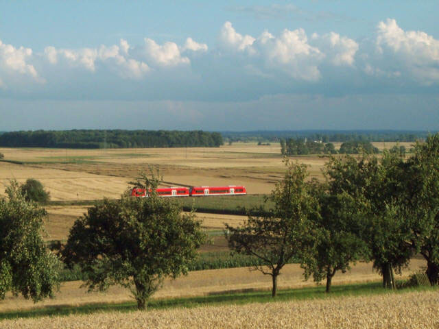 650 bei Sontheim/Brenz