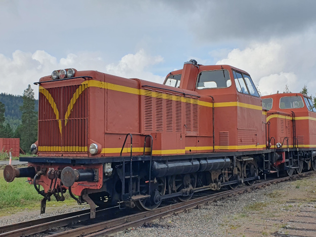 T21  im Bhf Arvidsjaur